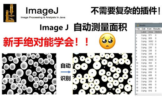 【某骜】ImageJ 自动测量面积 - 51