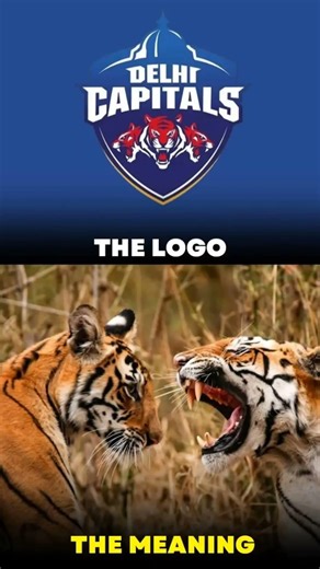 The ipl teams logo and their meaning ☠️🥶 #shortsfeed #cricketshorts #csk #chennaiipl