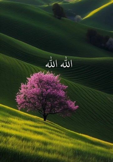 Poetry About Allah and Nature