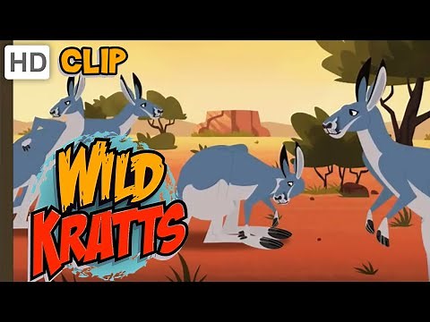 Wild Kratts - Key-Keep Away