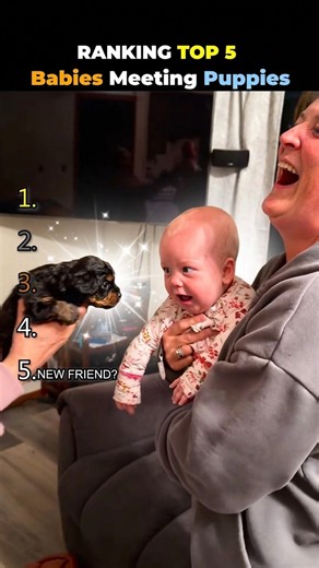 Surprise Reactions! Babies Meet Puppies For The First Time 🐕✨ #cute #viral