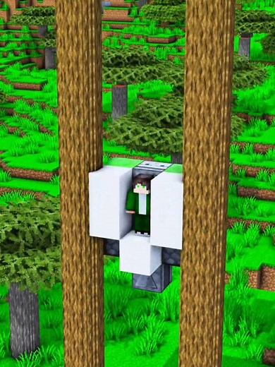 ☠️Minecraft, But.. FAST ELEVATOR!☠️#shorts #birdtrend | Cubius Shorts