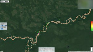 3.6K views · 156 reactions |  Dolphins on the move  Watch the journey of one of eight pink river dolphins tagged in the Peruvian Amazon. Learn more about the first satellite monitoring mission  https://pand.as/2IfWzky | WWF | Facebook
