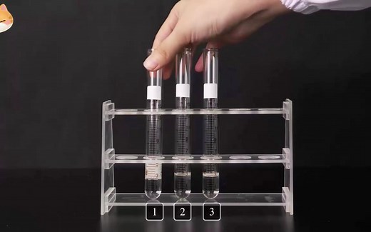 【必修1实验】探究pH对过氧化氢酶活性的影响H2O2活性因素人教版统编教材高中生物学2019新课改新课标