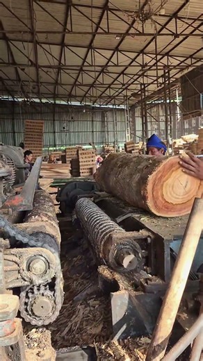 Wood processing machine #shorts #woodwork #woodveneer #factory