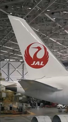 JALエンジニアリングさまのBuddycom導入事例動画 #JALエンジニアリング #jalec #整備 #飛行機 #空港#buddycom #バディコム #インカムアプリ