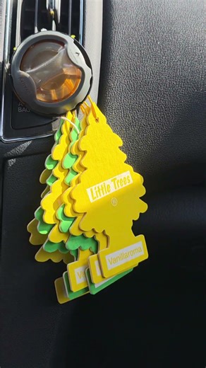 what's your favorite scent? #auto #smellgood #fartblocker #tonto #like #subscribe #subway #gasprices