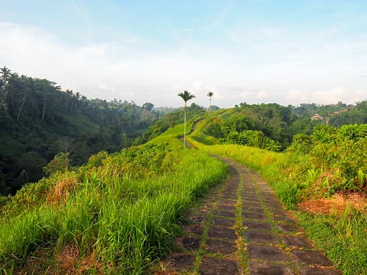 How to Get to the Campuhan Ridge Walk Ubud And What to Expect | Almost Landing - Bali