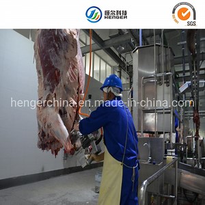 [Hot Item] Cattle Abattoir Halal Slaughter Machine Bleeding Conveyor for Slaughtering Machine