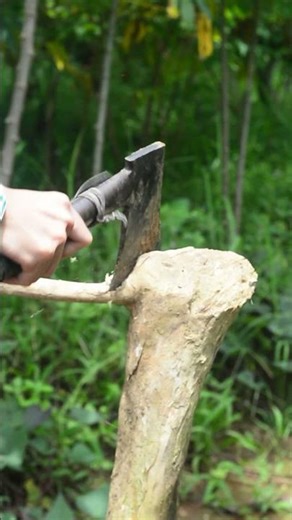 A Woman’s Journey: Surviving Deep in the Forest