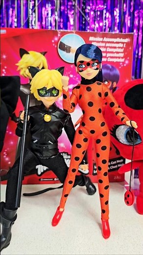 Happy #ladybugday 🐞 Miraculous Ladybug and Cat Noir Mission Accomplished duo set
