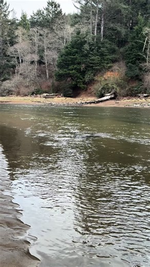 #pnw #pnwadventures #pacificnorthwest #oregon #oregoncoast