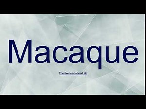 Macaque Pronunciation: How to Pronounce Macaque | Can You Get It Right? #macaque