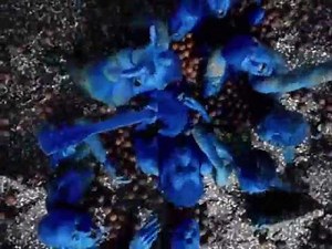 ( ) 21st Century (Digital Boy) | 노래 가사