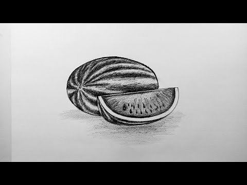 How to draw watermelon easy and step by step or shading for beginners tutorial