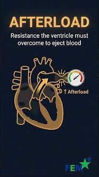 🫀 Stroke Volume (SV) Explained in Seconds | Cardiac Physiology Made Easy