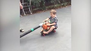 369K views · 1.4K shares | Have leaf blower, will travel. | America's Funniest Home Videos | Facebook
