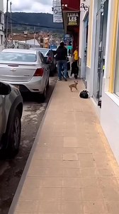 🤣🤣 | Waggle
