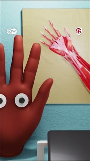 ऐसे काम करता है हाथ | How your Hand Works | Sehat Talk