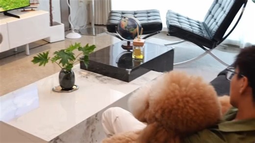 小户型必备！三星S85F打造万元内家庭影院，双11装修闭眼入