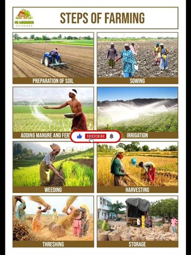 STEPS OF FARMING CHART | FARMING | AGRICULTURE | THE PROJECT POINT