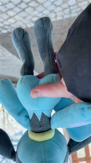 Up Side down with riolu #pokemon #riolu
