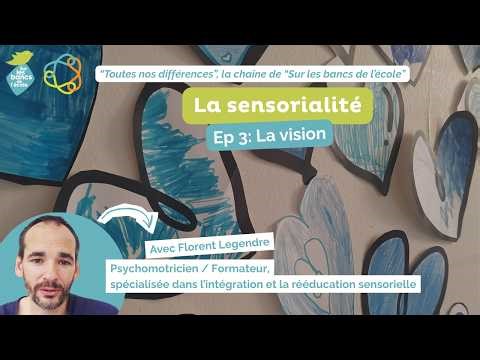 La sensorialité - Épisode 3 : la vision - bien plus que ouvrir les yeux