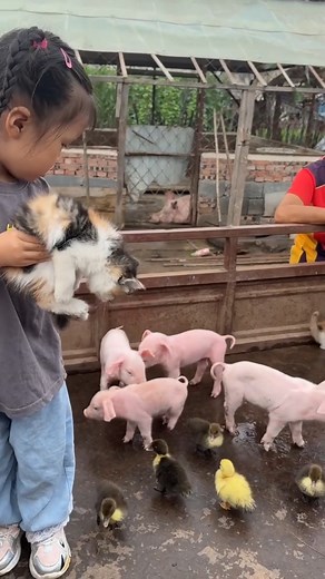 I made some new friends at Granny’s farmyard. #animal #kid #pets #cute #family #childhood #happylife #summerinChina #vacation #village #farm Credit to 180314245 on Douyin | Young China