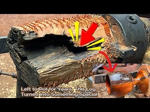 Salvaging the Soul of a Rotten Abandoned Tree