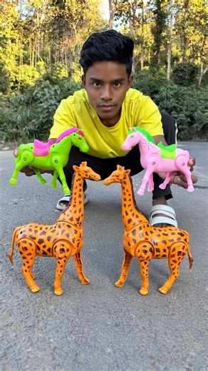 Rc Remote Control Giraffe And Mini Horse Unboxing