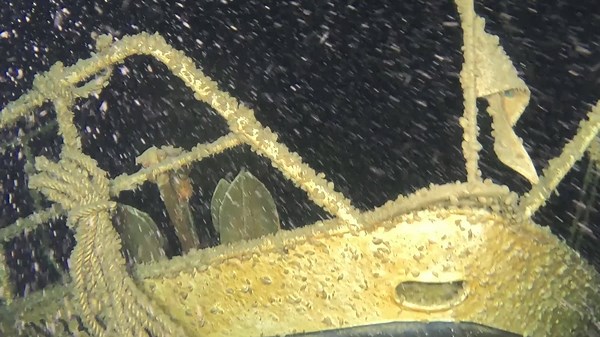 Aufnahmen zeigen «Lady Jay» im Bodensee