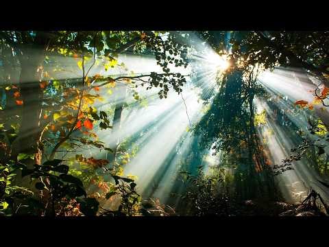The Breakthrough: Inspiring Acoustic & Vocal Soundscape for Success