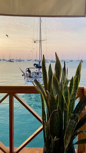 Disfruta de la vida junto al mar en la Punta Callao