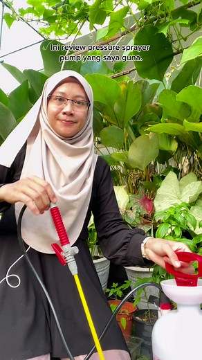 39K views · 681 reactions | Review sprayer pump. Cari jenis yang ada hose supaya mudah nak spray bawah daun tanpa perlu tonggeng atau terbalikkan sprayer bottle. Dan tak perlu selak daun. Memudahkan kerja dan mengurangkan perasaan malas nak spray pape cecair kawalan serangga perosak. Saya guna neem oil. Ada banyak jenama, beli pape jenama ikut bajet anda  | Hamizah Hanapi | Facebook