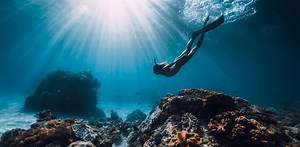 Le Pacifique : il a beau être le plus grand océan du monde, son écosystème est en péril