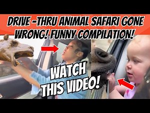 DRIVE-THRU Safari Animal Attacks GONE WRONG! Funny Animal Moments & Adventures Compilation!