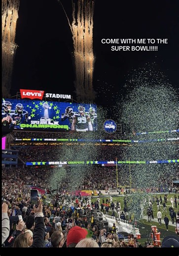 Experience the Super Bowl with Me!
