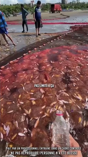 👀 He noticed that this fish was different…