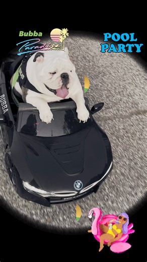 1.2K views · 46 reactions | It’s me Bubba .pool party , you not going...