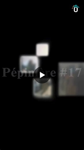 La Pépinière # 17 est en plein TP 👷 Après les bases de l’informatique, IBM i, DB2, les fichiers écran, l’algorithmie et le CL, nos 14 apprenant·es entrent dans le vif du sujet en s attaquant à la… | OCSI Academy