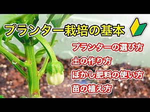 How to use bokashi fertilizer: Basic knowledge for planter cultivation