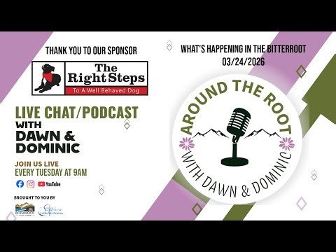 AROUND THE ROOT 3/24/2026