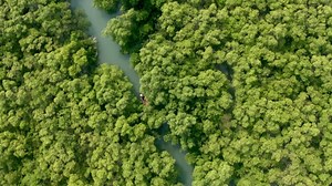 3K views · 84 reactions | In a search for an antidote to cure the contamination of water bodies, #JeremyWade travels across countries to test the waters of different rivers. Follow him on his mission on Jeremy Wade's #MightyRivers, tonight at 10 PM, only on Discovery. | Discovery Channel India | Facebook