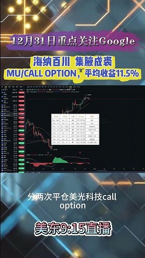 海纳百川，集腋成裘。MU/CALL OPTION，平均收益11.5%。#AAPL#蘋果#期權#OPTION#谷歌#标普500#S&P 500#英伟达#NVIDIA#特斯拉#Tesla