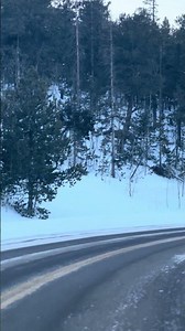 Magical Snow Views from Woodland Park, Colorado❄️🏔️ #colorado #winter #snow #shorts #youtubeshorts