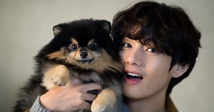 BTS’s V Was Asked A Simple Question About Yeontan… And He Instantly Transformed Into A Proud “Dad”