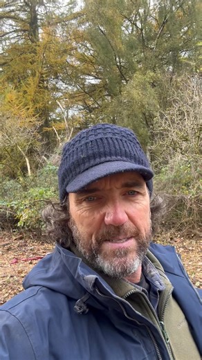 9.5K views · 116 reactions | Breaking news this Halloween folks! Axis point has started and they are already NOT protecting Calais Wood with a 15 metre buffer zone, which is a planning condition. Please share far and wide More videos and info to come. | Save the Calais Woods Wildlife. | Facebook