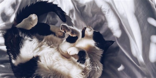 10 must-watch documentaries for rainy autumn days and why I loved each one