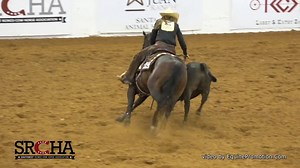 The always-exciting and much-anticipated National Reined Cow Horse Association Snaffle Bit Futurity is right around the corner! Erin Taormino Performance Horses and her handsome bay 3-year-old Royal Stunner were the champs of the SRCHA Pre Futurity back in August, winning the Open Futurity and Intermediate Open Futurity Championships. The duo will be one of the tough and talented horse and rider combos at the event which takes place October 10-21, in Fort Worth, Texas. | Western Horseman