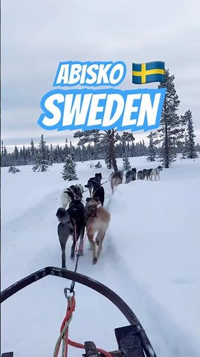 Husky Sled Ride in Abisko, Sweden ❄️🐺 | Arctic Adventure